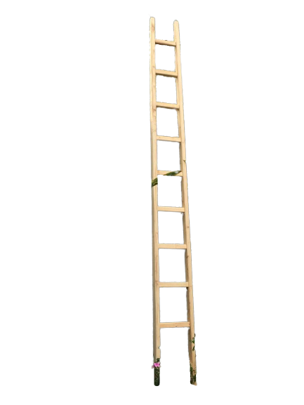 Escalera. Modelo: Chivirín. - Imagen 3